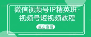 视频号IP精英班-微信视频号短视频教程-创业资源网