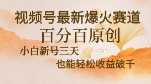 视频号最新爆火赛道,中老年粉深信不疑,百分百原创,新号三天收益轻松...-创业资源网