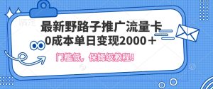 全新歪门邪道营销推广上网卡，一张200-300，成本低，0成本费单日转现好几张-创业资源网