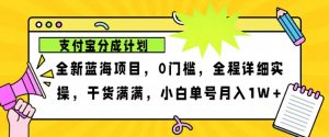 2024年后半年新蓝海,支付宝钱包分为计划项目游戏玩法,轻轻松松月入1w-创业资源网