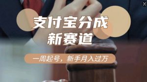 支付宝钱包分为方案，新生态，运用刑侦纪实短视频，一周养号，新手入门也可以月入了万-创业资源网