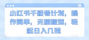 小红书的千粉号方案,使用方便,没脑子运送,轻轻松松日入多张-创业资源网