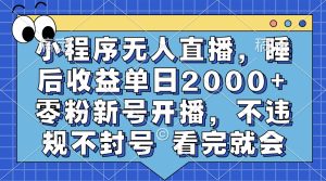 小程序无人直播,睡后收益单日2000+ 零粉新号开播,不违规不封号 看完就会-创业资源网