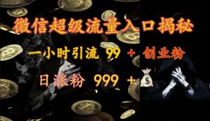 手机微信非常流量来源揭密:一小时引流方法 99   自主创业粉,日增粉 999-创业资源网