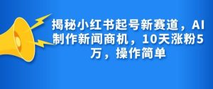 揭密小红书的养号新生态,AI制作新闻创业商机,10天增粉1万,使用方便-创业资源网