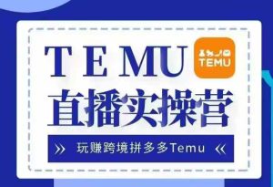 Temu直播实战营,玩赚跨境拼多多Temu,国内电商卷就出海赚美金-创业资源网