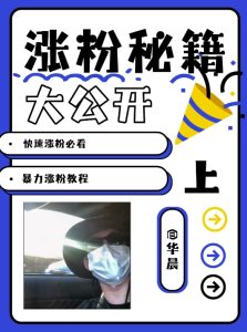 全新AI漂亮美女游戏玩法,长相暴力行为增粉实例教程,增粉秘笈大公布-创业资源网