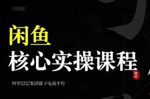 2024闲鱼平台关键实操课程,从起号、选款、公布、市场销售,手把手带你一个出单闲鱼号-创业资源网