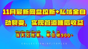 11月最新网盘引流 公域自动式裂变式,完成管路睡后盈利,当日见实际效果,单日破900-创业资源网