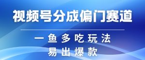 微信视频号原创者分为方案偏类别目,非常容易爆流,实拍视频具体内容简单容易做【揭密】-创业资源网