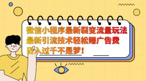 微信小程序最新裂变流量玩法，时间自由收益高轻松赚广告费，日入过千不是梦！-创业资源网