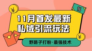 11月首发最新私域引流玩法，自动克隆爆款一键改写截流自热一体化 日引300+精准粉-创业资源网