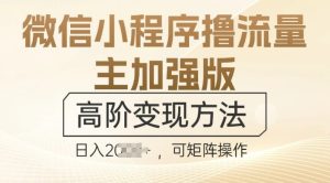 微信小程序撸流量主加强版,高阶变现方法,日收益多张-创业资源网