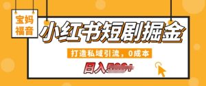 小红书短剧掘金，打造私域引流，0成本，宝妈福音日入几张-创业资源网