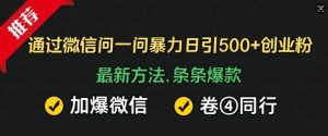 通过微信问一问暴力日引500+创业粉,最新方法,条条爆款,加爆微信,卷死同行-创业资源网