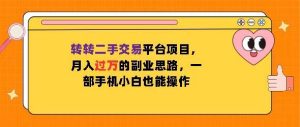 转转二手交易平台项目,月入过W的副业思路,一部手机小白也能操作-创业资源网