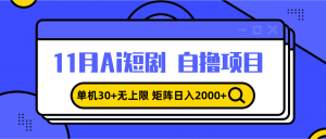 11月ai短剧自撸,单机30+无上限,矩阵日入2000+,小白轻松上手-创业资源网