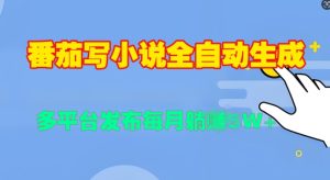 番茄写小说全自动生成,多平合发布每月过W-创业资源网