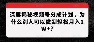 深层次揭密微信视频号分为方案,为什么有的人能做到轻轻松松月入1W ?-创业资源网