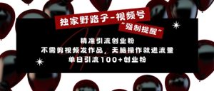 独家代理歪门邪道运用微信视频号“强制性提示”,无需要剪辑视频更新视频,没脑子实际操作就进了总流量,单日引流方法100 自主创业粉-创业资源网