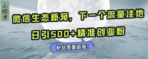 微信生态圈新欢小绿书:下一个流量洼地,日引500 精确自主创业粉,粉丝们品质极高-创业资源网