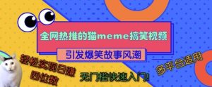 各大网站热推的猫咪搞笑视频,引起爆笑故事热潮,全平台可用,真正实现日入四位数,零门槛快速上手!-创业资源网