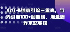 小红书独家引流三重奏,当天引流100+创业粉,流量爆炸不愁变现【揭秘】-创业资源网