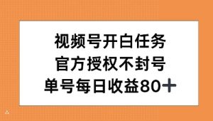 视频号开白任务,官方授权不封号,单号每天稳定收益80+-创业资源网
