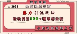 最新搬运混剪暴力引流玩法,轻松日引500+精准创业粉,小白可零基础上手-创业资源网