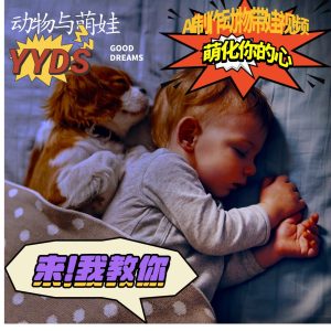 AI制做小动物与小萌娃互动直播,一瞬间俘获你的爱,粉丝们稻米一起取货!-创业资源网