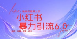 最新小红书暴力引流私域玩法,日引200+兼职粉,简单无脑操作-创业资源网
