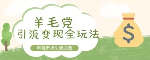 羊毛党引流变现全玩法,年轻市场引流必备-创业资源网