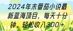 2024年末番茄小说最新蓝海项目,每天十分钟,轻松收入3张-创业资源网