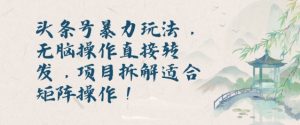 头条号暴力玩法，无脑操作直接转发，项目拆解适合矩阵操作!-创业资源网
