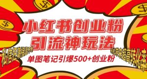 小红书创业粉引流神玩法,单图笔记引爆500+精准创业粉丝,私信狂潮接连不断-创业资源网