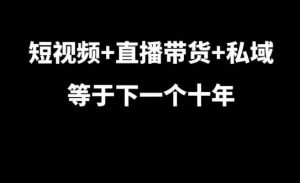 短视频+直播带货+私域等于下一个十年,大佬7年实战经验总结-创业资源网