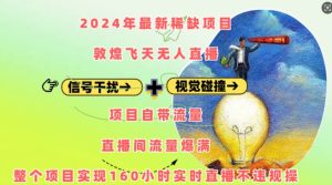 2024年最新稀缺项目敦煌飞天无人直播,项目自带流量,流量爆满,实现160小时实时直播不违规操-创业资源网