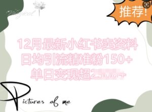 12月最新小红书日均引流精准粉100+,单日变现多张-创业资源网