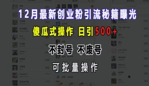 12月最新创业粉引流秘籍曝光 傻瓜式操作 日引500+ 不封号 不废号 可批量操作【揭秘】-创业资源网
