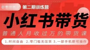 小Red书带货42天训练营 2.0版,宝妈+自由职+上班族+大学生,提高副业收入的大红利项目-创业资源网