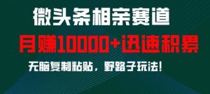 微头条相亲赛道,迅速积累,无脑复制粘贴,野路子玩法,月入1w-创业资源网