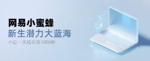 网易小蜜蜂，最新大蓝海项目，单日轻松日涨千粉-创业资源网