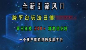全新引流风口,跨平台玩法日入上k,单日狂揽200+精准创业粉,一个被严重忽略的视频平台-创业资源网