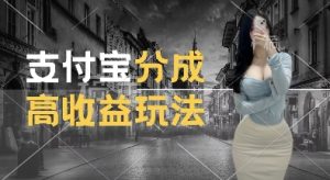 支付宝分成计划新玩法，利用交通事故视频，赚收益，轻松月入过W，操作简单【揭秘】-创业资源网