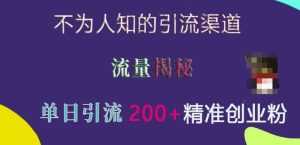 不为人知的引流渠道,流量揭秘,实测单日引流200+精准创业粉【揭秘】-创业资源网