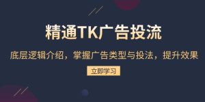 精通TK广告投流:底层逻辑介绍,掌握广告类型与投法,提升效果-创业资源网