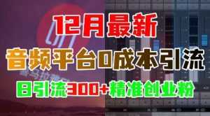 12月最新:音频平台0成本引流,日引流300+精准创业粉-创业资源网