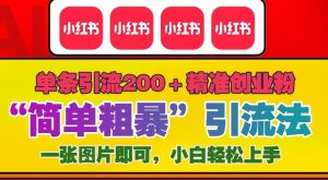 12月底小红书”简单粗暴“引流法,单条引流200+精准创业粉-创业资源网