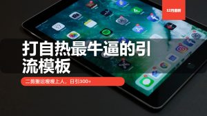 打自热最牛逼的引流模板,二剪搬运嗖嗖上人,日引300+-创业资源网