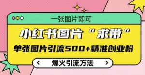 小红书图片‘求带’爆火引流法,单张图片引流500+精准创业粉【揭秘】-创业资源网